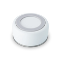 Pet Bowl